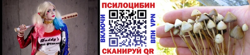 Галлюциногенные грибы мухоморы Тбилисская